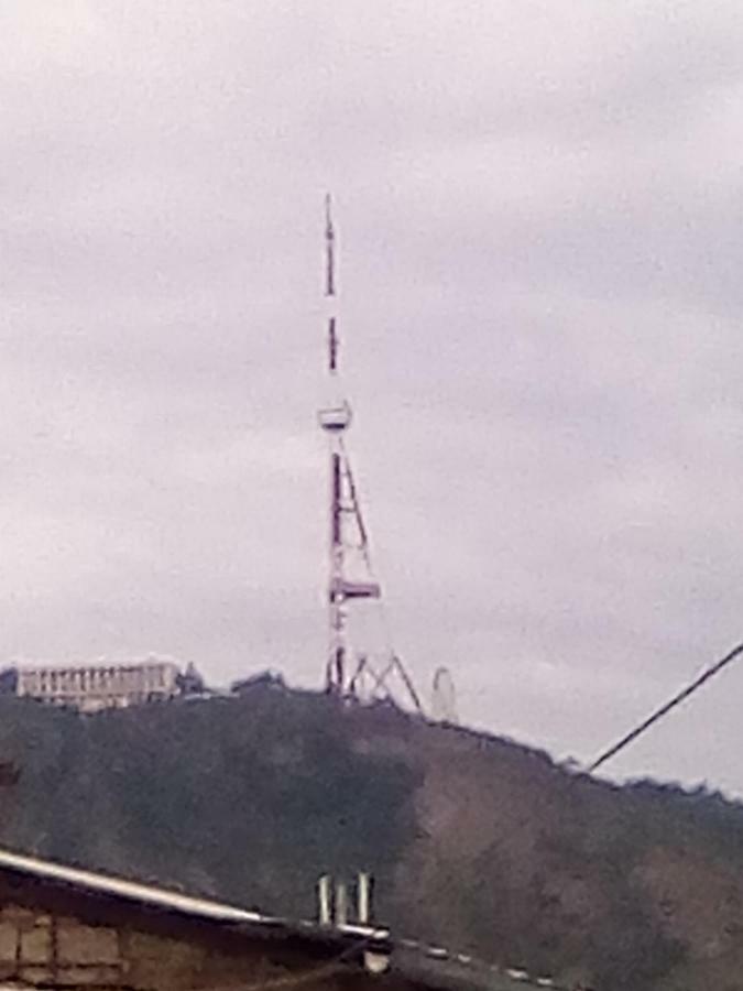 Hotel Vamax Tbilisi Bagian luar foto